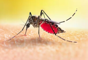 Kolkata dengue